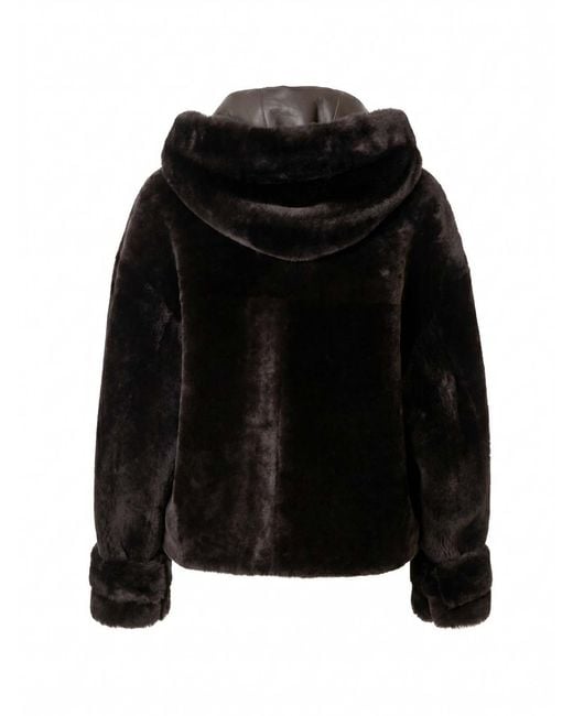 Blancha Black Shearling Jacket