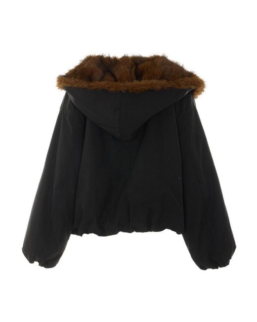 ELEH Black Bomber