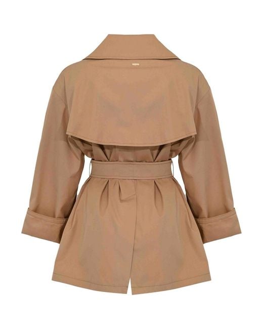 Herno Brown Cotton Gabardine Trench Coat