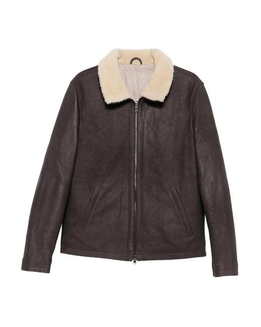 Barba Napoli Gray Shearling Jacket for men