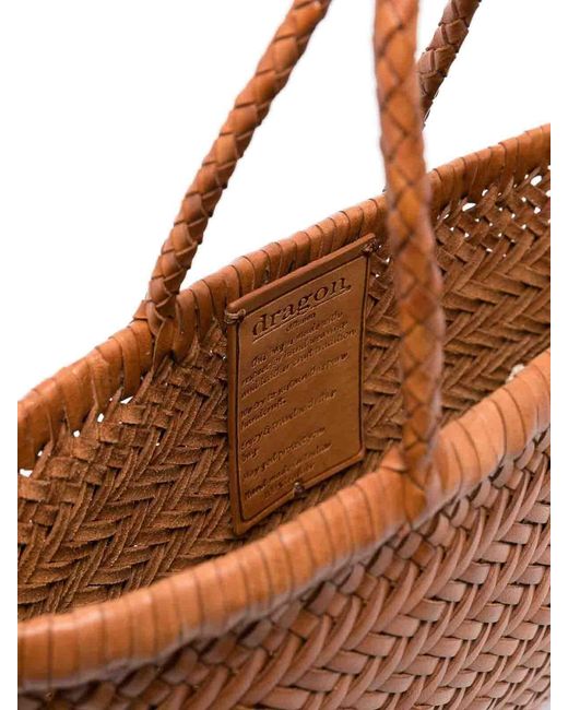 Dragon Diffusion Brown Bag