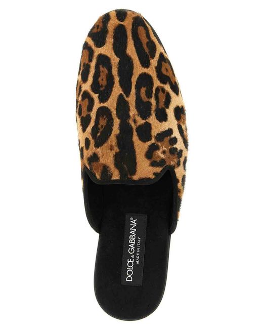 Dolce & Gabbana Brown Loafers for men
