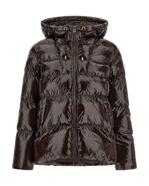Pinko Brown Eleodoro' Down Jacket
