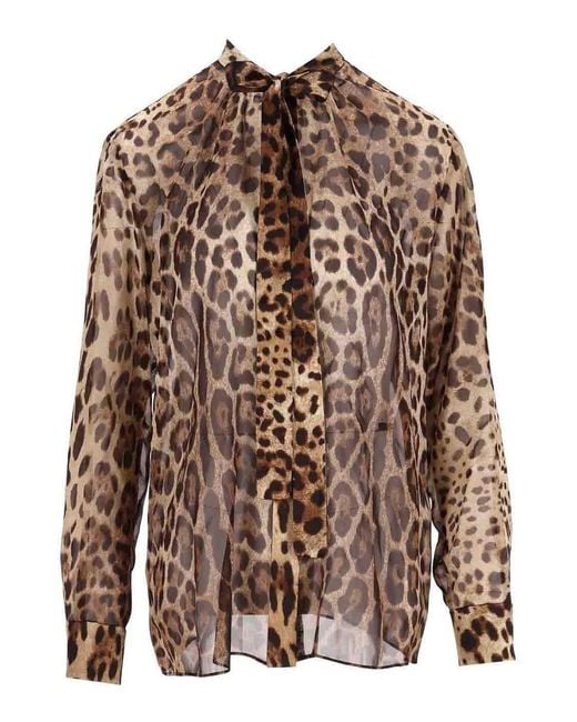 Dolce & Gabbana Brown Leopard Print Chiffon Shirt