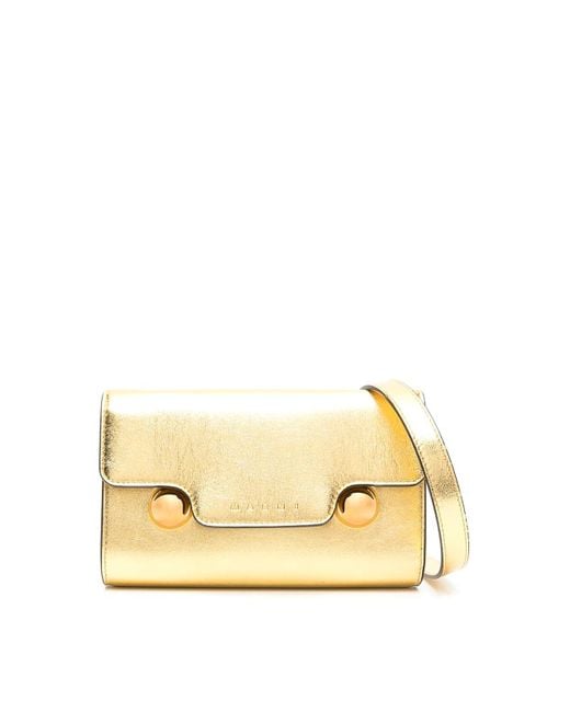 Marni Metallic Bag