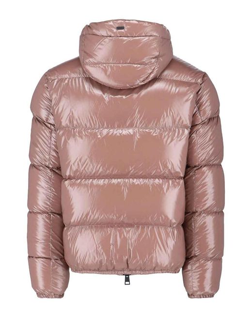 Herno Pink Down Filled Comforter for men