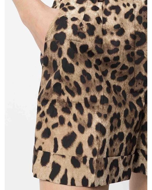 Dolce & Gabbana Multicolor High-Rise Leopard-Print Cotton Short Shorts