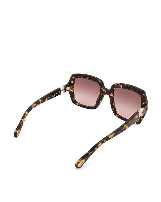 Chloé Brown Acetate Sunglasses