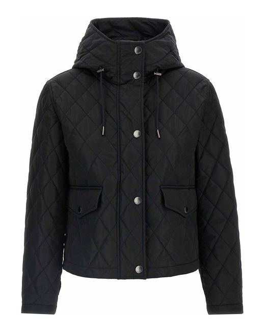 Burberry Black Pembroke Jacket