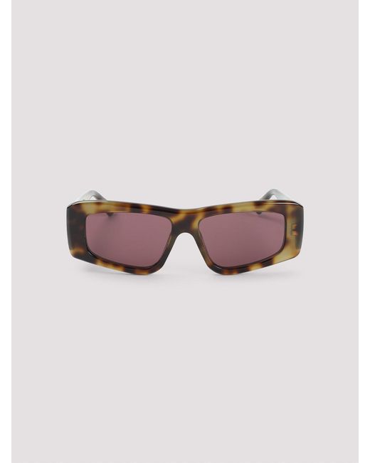Chloé Brown Acetate Sunglasses