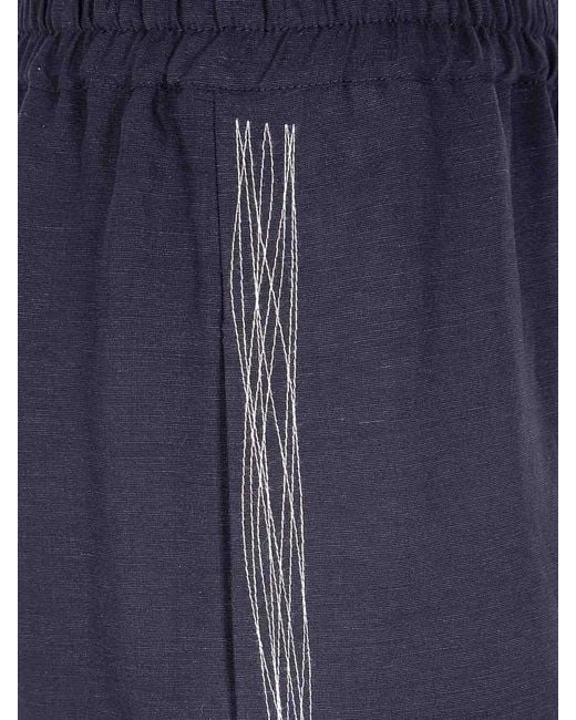 Aviu Blue Embroidered Viscose Linen Trousers