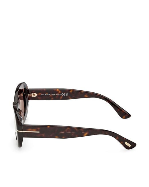 Tom Ford Brown Islay-02 Sunglasses