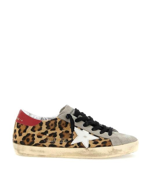 Golden Goose Deluxe Brand Brown Superstar Sneakers