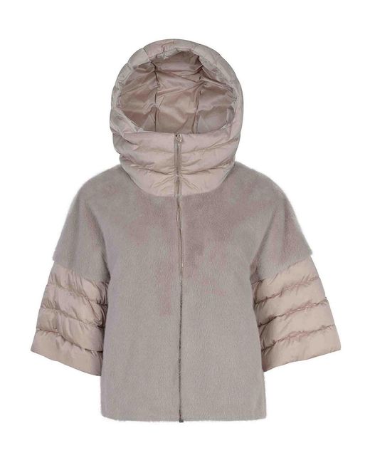 Herno Gray Coats