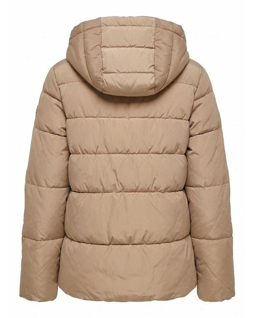 Pinko Natural Eleodoro Caban