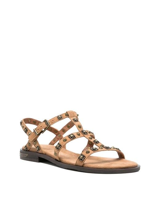 Ash Brown Mocha Mou Cmere