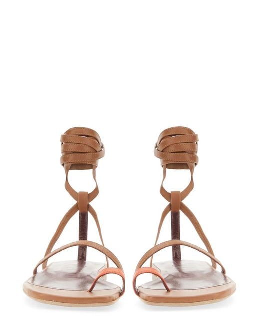 Staud Brown Nicola Gladiator Sandal