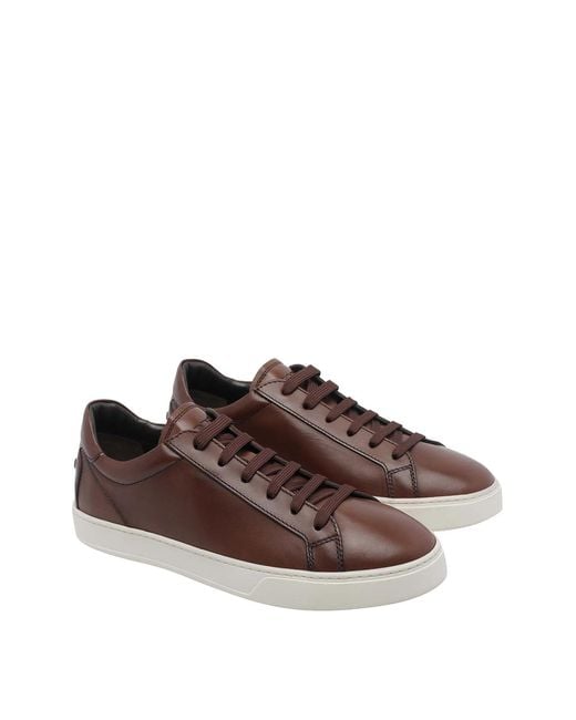 Tod's Brown Sneakers for men