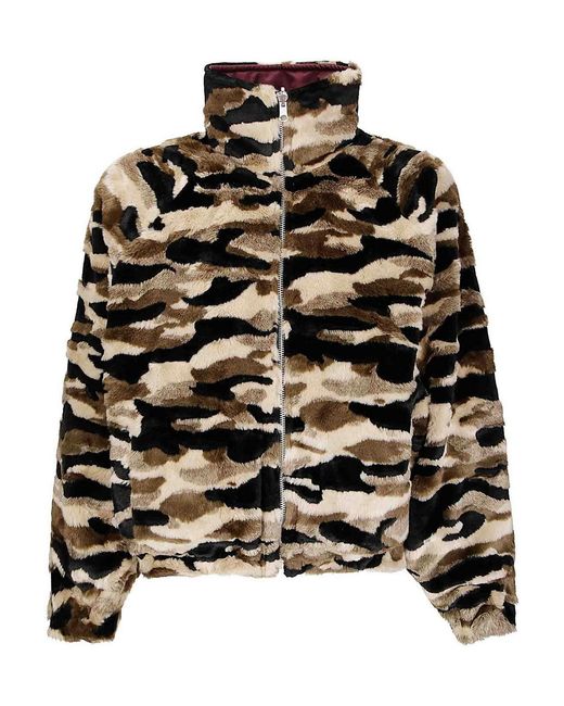 PDF Black Federico for men