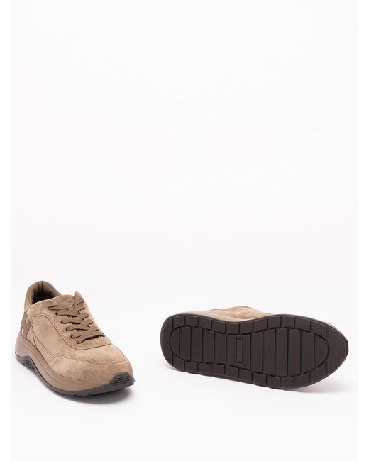 Hogan Brown H719 Sneakers for men