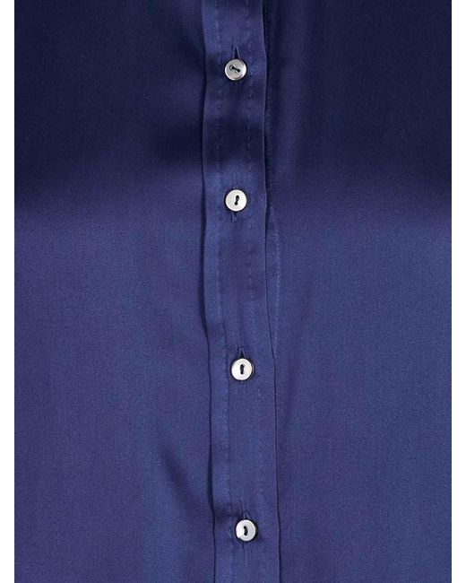 Q-WINS Blue Aster