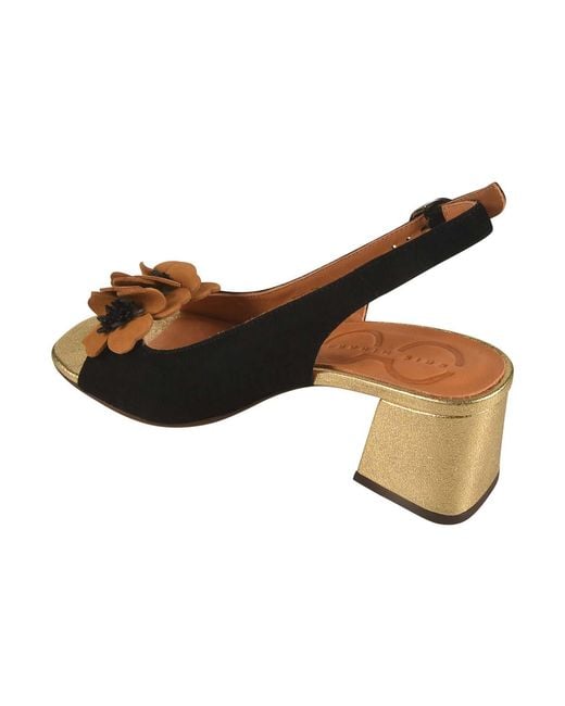 Rene Caovilla Brown Sandals