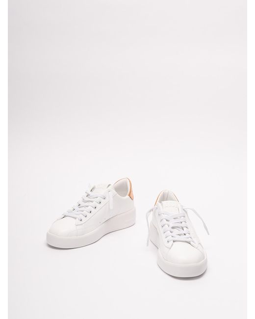 Golden Goose Deluxe Brand White `pure Star Bio` Sneakers