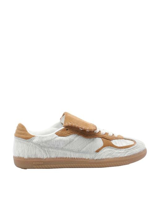 Alohas Brown Tb490 Club Sneakers