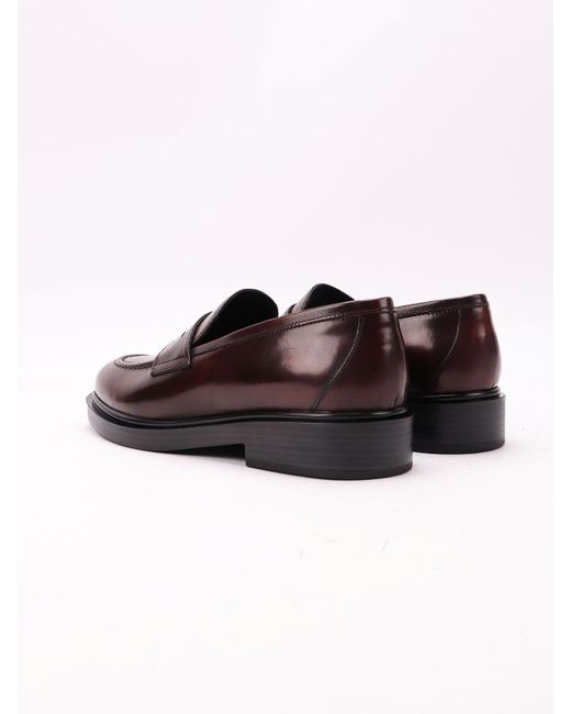 Triver Brown Leather Loafers
