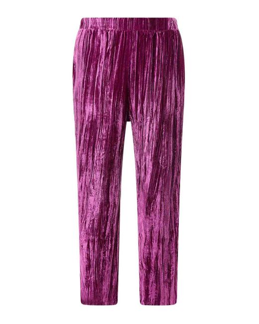 SLEEP NO MORE Purple Cloqu Velvet Pajamas Trouser