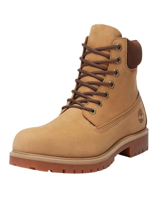Timberland Brown Shoes for men