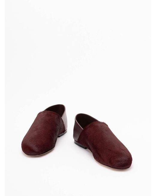 Alberta Ferretti Brown Shoes
