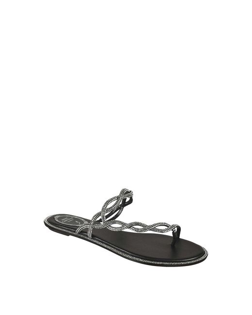 Rene Caovilla Black Sandals