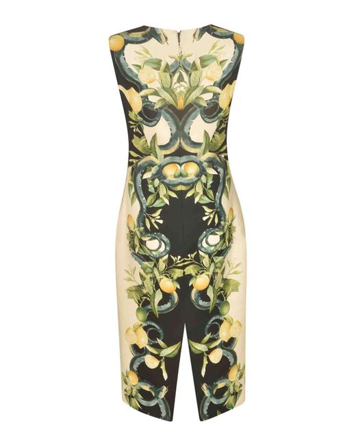 Roberto Cavalli Green Midi Dresses