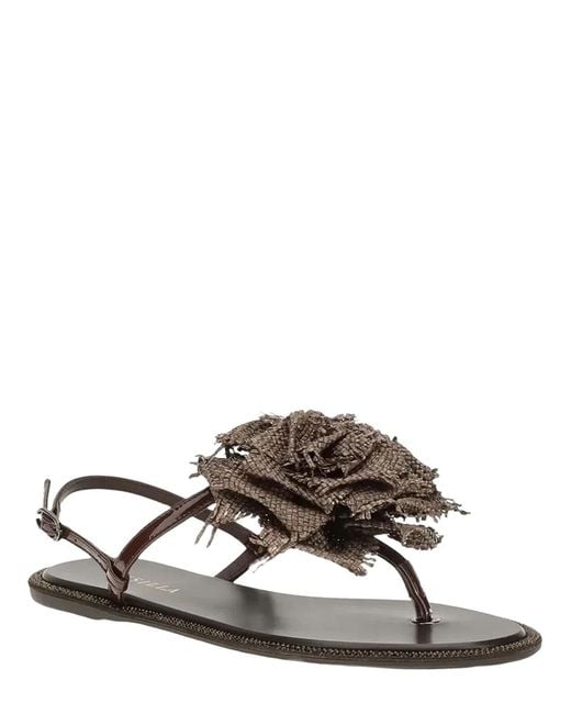 Le Silla Brown Rose Glossy Sandal