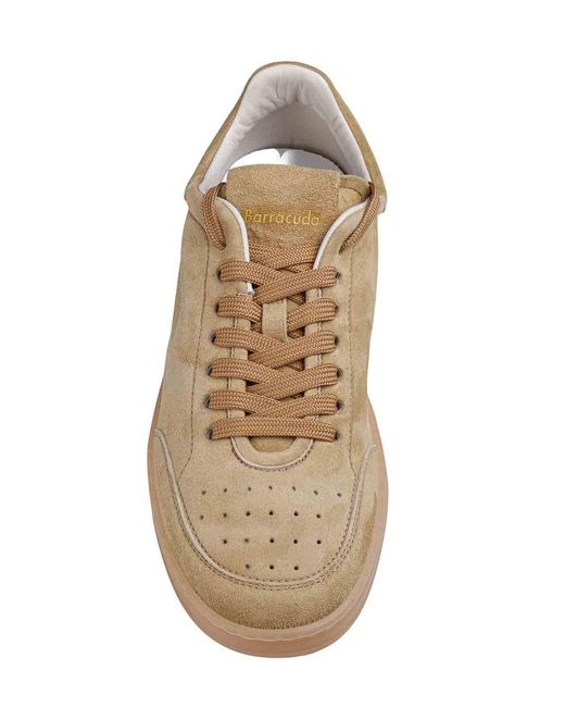 Barracuda Natural Suede Sneakers for men