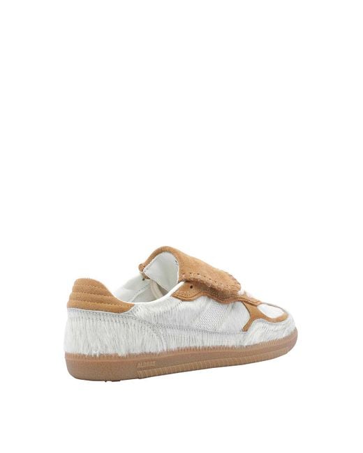Alohas Brown Tb490 Club Sneakers