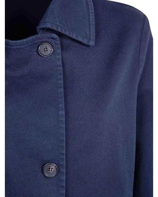 CIGALA'S Blue Jacket Redcapsule
