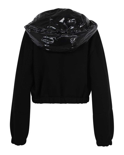 Plan C Black Cropped Jacket With Vinyl Hood