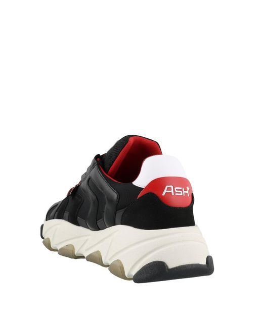 Ash Black Eagle Sneakers for men