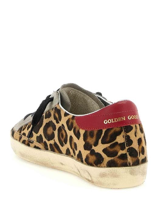 Golden Goose Deluxe Brand Brown Superstar Sneakers