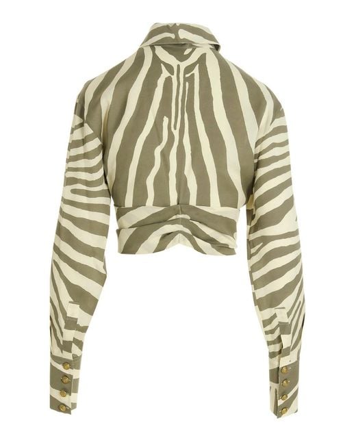 Balmain White Zebra Shirt