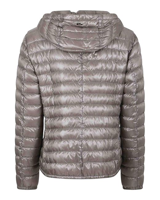 Herno Gray Padded Jacket