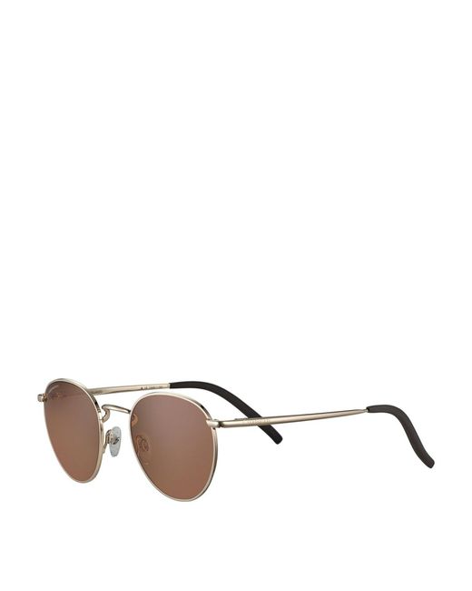 Serengeti Brown Sunglasses for men