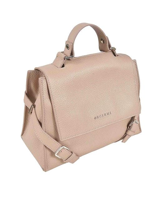 Borsa Rosa di Orciani in Pink