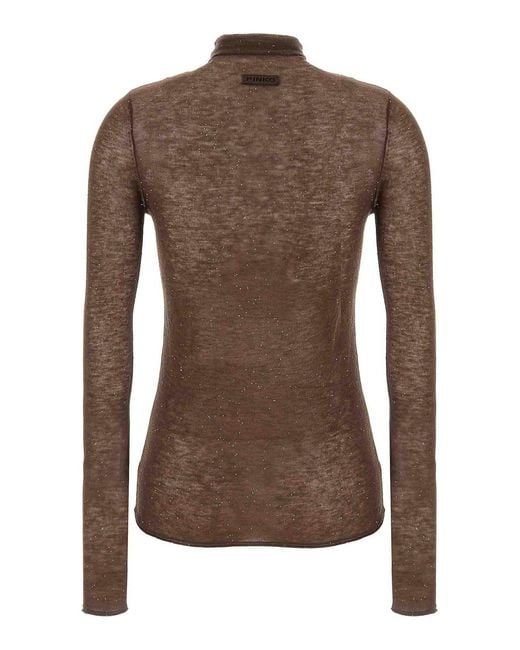 Pinko Brown Sweater