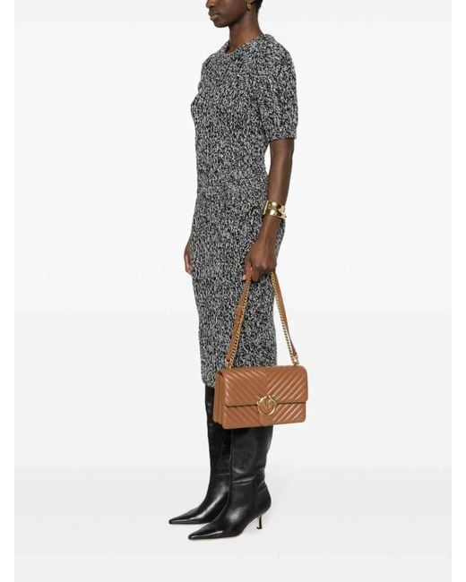 Pinko Brown Bag