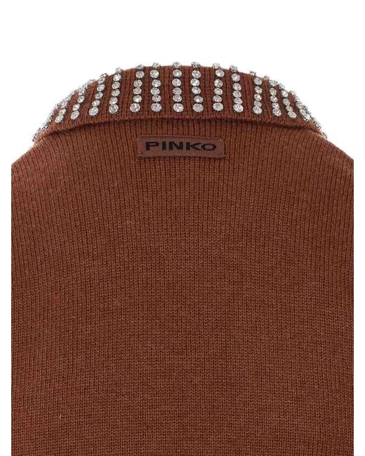 Pinko Brown Ventotene Sweater