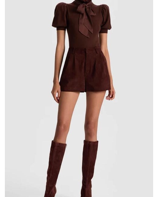 Alice + Olivia Brown Chase Sweater