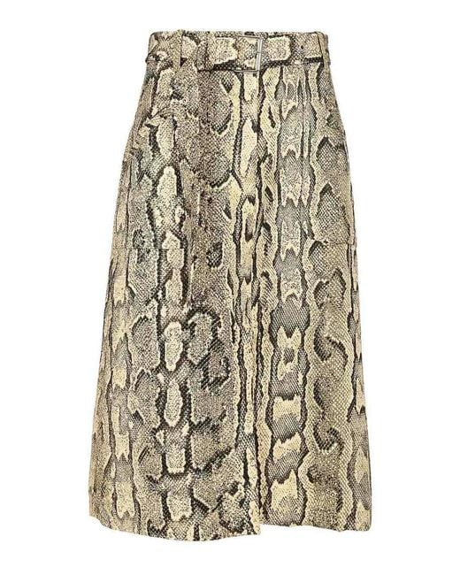 Dries Van Noten Natural Sheraz Skirt With Jacquard Snake Print